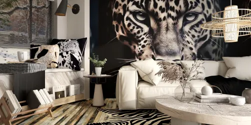Animal Theme