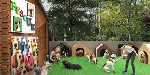 Dog Rescue Facility